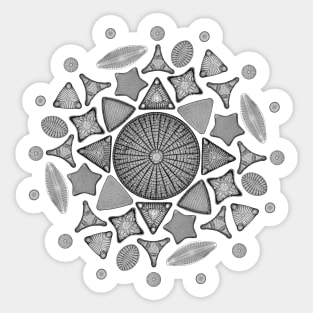 Black and White Diatom Mandala Sticker